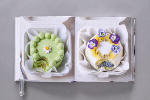 bento cakes_99_131w-2